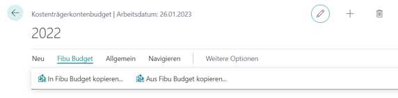 Aufruf In FIBU Budget kopieren